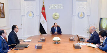 Sisi reviews ongoing efforts to develop ports