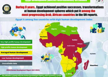 Egypt advances 11 positions in UNDP index