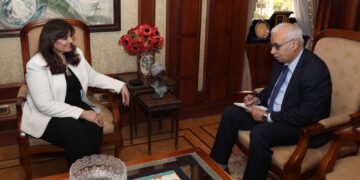 Egypt reaching its hands out to nationals living abroad – Minister