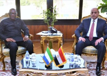 Cairo, Freetown eye more co-operation in air transport