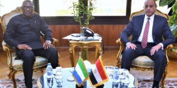 Cairo, Freetown eye more co-operation in air transport