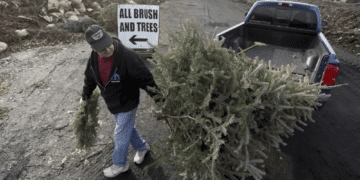 Christmas tree recycling is a good alternative to landfills