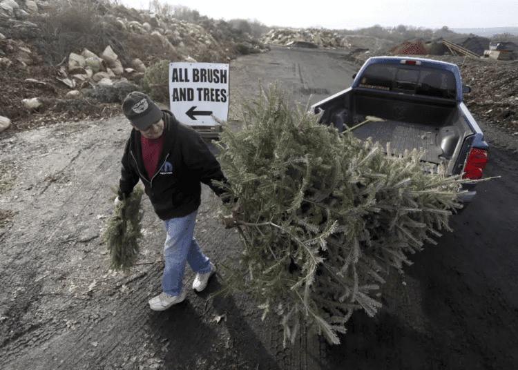 FILE- George Highhouse, of Scranton, brings his Christmas tree and a wreath to Lackawanna County Recycling in Dunmore, Pa., on Jan. 2, 2019.