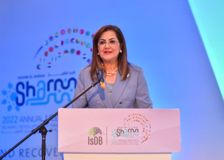 Planning and Economic Development Minister Hala el Said