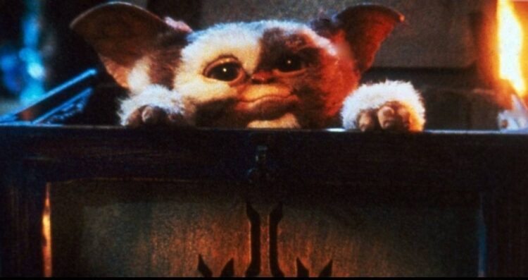 Nine Christmas horror movies to haunt your holidays 1 - Egyptian Gazette