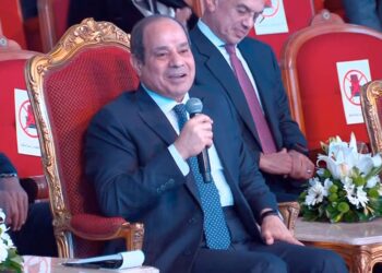 Sisi: State keen on playing its role in supporting its people