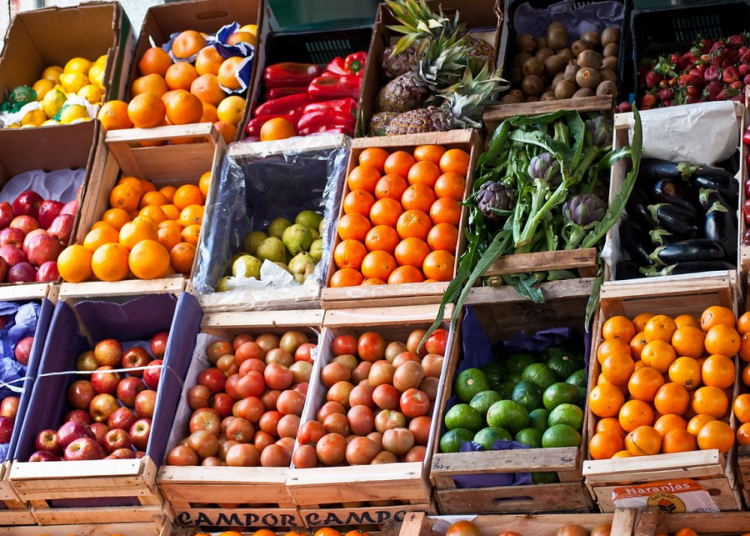 World food prices ease further in November, says FAO 2 - Egyptian Gazette World food prices ease further in November, says FAO 1 - Egyptian Gazette