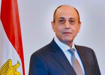 Aviation minister: Integrating environmental dimension into all projects to attain SDGs