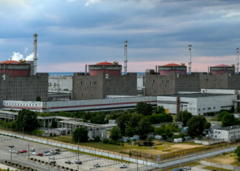 IAEA chief points to progress regarding safety of Zaporozhye Plant