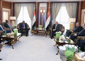 President Sisi meets with Sudan’s Burhan in Riyadh