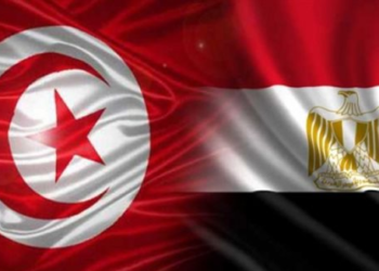Tunisian minister hails cooperation with Egypt in education sector as ‘distinguished’