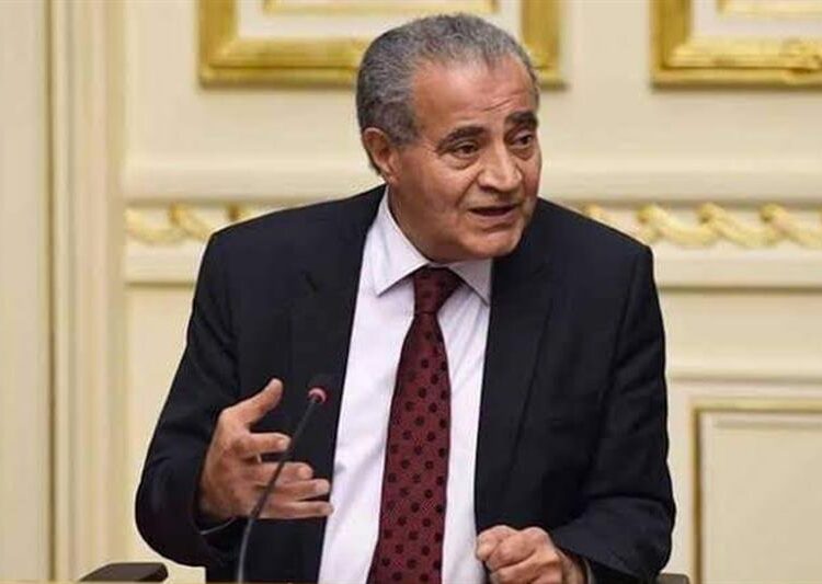 Supply minister: State targets to collect 4 mn tons of wheat supplies this season 1 - Egyptian Gazette