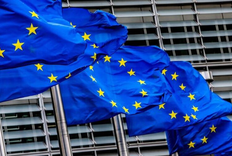 EU co-operates with Egypt in migration domain 2 - Egyptian Gazette EU co-operates with Egypt in migration domain 1 - Egyptian Gazette