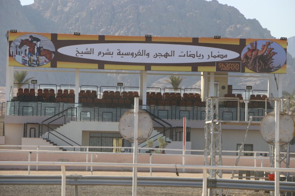 Graceful gallopers on upgraded race course 43 - Egyptian Gazette