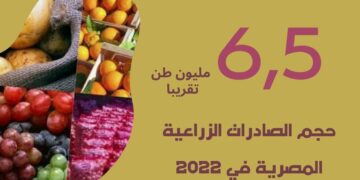 Egypt's agricultural exports hit 6.5 mln tons for 1st time ever 1 - Egyptian Gazette Egypt’s agricultural exports hit 6.5 mln tons for 1st time ever