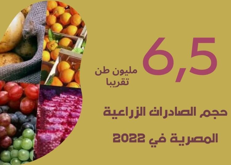 Egypt's agricultural exports hit 6.5 mln tons for 1st time ever 1 - Egyptian Gazette