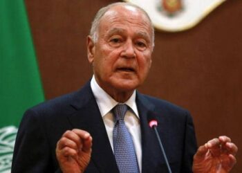 Abul Gheit urges doubling Arab efforts to face repercussions