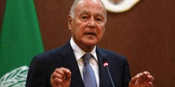 Abul Gheit urges doubling Arab efforts to face repercussions
