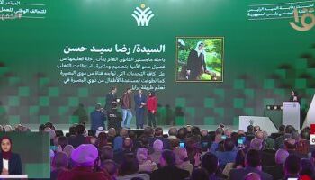 Sisi honors inspiring figures in civil, volunteer work