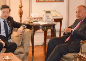Shoukry holds talks with visiting Chinese FM
