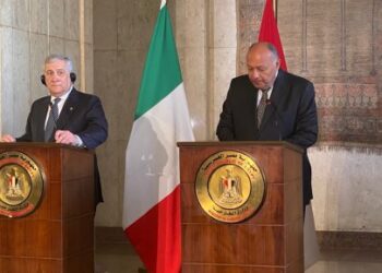 Egypt, Italian FMs hold talks