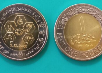 Egypt to release coins bearing slogan of persons with disabilities — Minister