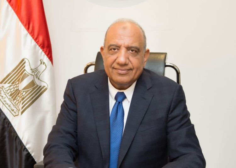 Egypt works on expanding reclaimed lands, says minister 1 - Egyptian Gazette