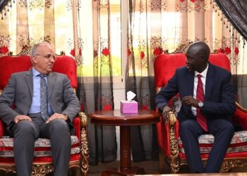 Irrigation minister reaffirms Egypt’s support to development projects in S. Sudan