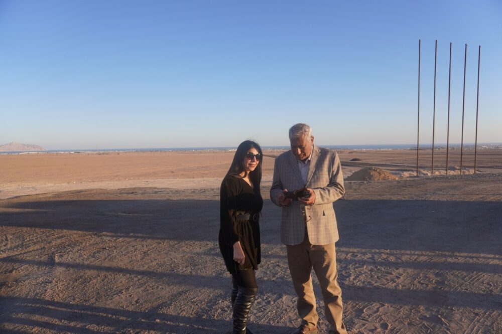 Graceful gallopers on upgraded race course 35 - Egyptian Gazette