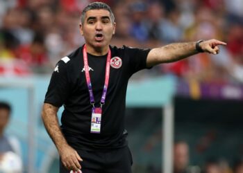 Tunisia coach stays on despite missing W. Cup target