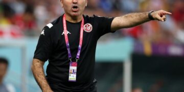 Tunisia coach stays on despite missing W. Cup target