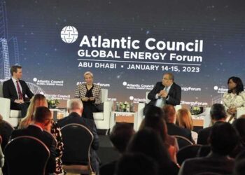 Mohieldin: Egypt, UAE will work together to enhance international climate action