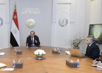 Sisi calls for pursuing strategy of developing Suez Canal