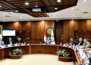 Production from 3 new wells in Gulf of Suez starts in 1st half of 2023- Petroleum Ministry