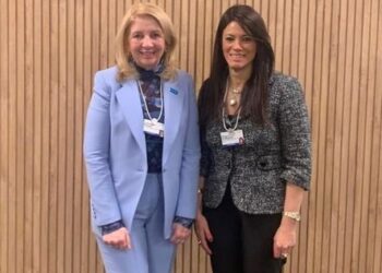 Egypt, Singapore discuss promoting bilateral co-operation