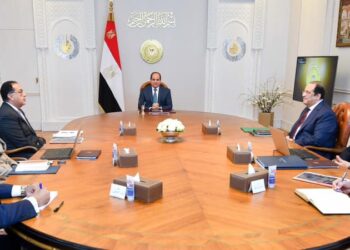 Sisi directs TSFE to increase returns from state assets