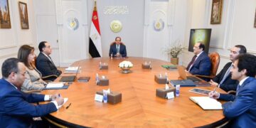 Sisi directs TSFE to increase returns from state assets