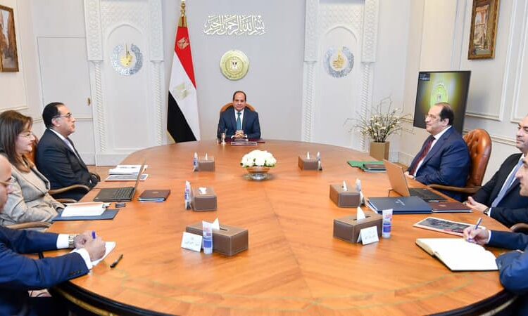 Sisi directs TSFE to increase returns from state assets 1 - Egyptian Gazette