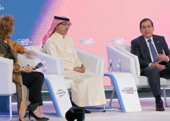 Molla: Egypt keen on developing mining sector in 2023