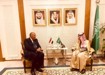 Cairo, Riyadh discuss ties, regional issues