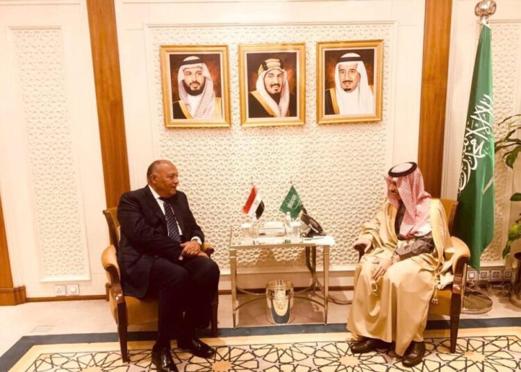 Cairo, Riyadh discuss ties, regional issues 1 - Egyptian Gazette Foreign Minister Sameh Shoukri (L) during his meeting with Saudi counterpart Prince Faisal bin Farhan in Riyadh.