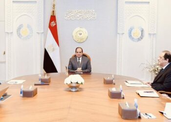 Sisi directs govt to enhance efforts to develop civil aviation sector