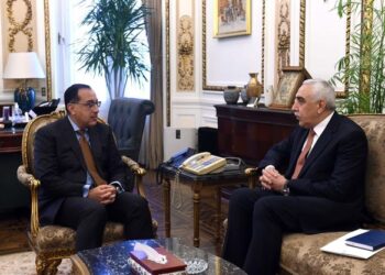 PM stresses Egypt’s support for development efforts in Iraq