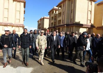 Askar inspects Armed Forces elements, development projects in N. Sinai