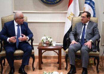 Petroleum min., Azerbaijani amb. discuss investment opportunities in oil & gas domains