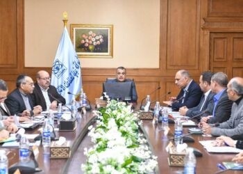 State minister for military production hails Benha co. in meeting needs of Armed Forces