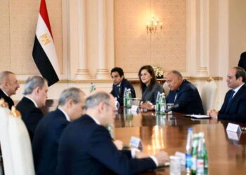 President Sisi affirms need to realize quantum leap in ties with Azerbaijan