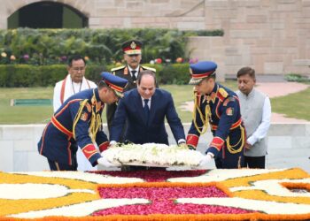 Sisi visits tomb of Indian leader Gandhi