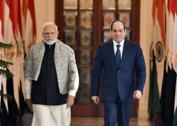 Sisi: We celebrate 75th anniversary of establishing ties with India