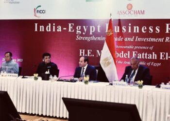 Sisi stresses keenness to develop trade, economic ties with India